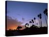 Palm Trees in Silhouette in Park on Bluff Overlooking the Pacific Ocean, Santa Barbara, California-Aaron McCoy-Stretched Canvas