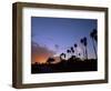Palm Trees in Silhouette in Park on Bluff Overlooking the Pacific Ocean, Santa Barbara, California-Aaron McCoy-Framed Photographic Print