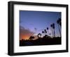 Palm Trees in Silhouette in Park on Bluff Overlooking the Pacific Ocean, Santa Barbara, California-Aaron McCoy-Framed Photographic Print