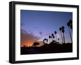 Palm Trees in Silhouette in Park on Bluff Overlooking the Pacific Ocean, Santa Barbara, California-Aaron McCoy-Framed Photographic Print