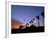 Palm Trees in Silhouette in Park on Bluff Overlooking the Pacific Ocean, Santa Barbara, California-Aaron McCoy-Framed Photographic Print