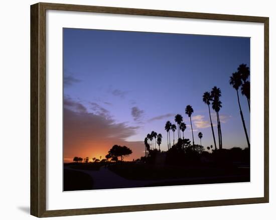 Palm Trees in Silhouette in Park on Bluff Overlooking the Pacific Ocean, Santa Barbara, California-Aaron McCoy-Framed Photographic Print