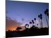 Palm Trees in Silhouette in Park on Bluff Overlooking the Pacific Ocean, Santa Barbara, California-Aaron McCoy-Mounted Photographic Print