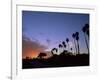 Palm Trees in Silhouette in Park on Bluff Overlooking the Pacific Ocean, Santa Barbara, California-Aaron McCoy-Framed Photographic Print