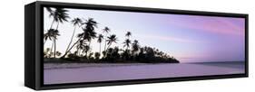 Palm Trees in Silhouette Near Bweju, Island of Zanzibar, Tanzania, East Africa, Africa-Lee Frost-Framed Stretched Canvas