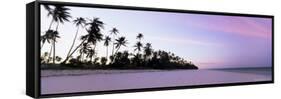 Palm Trees in Silhouette Near Bweju, Island of Zanzibar, Tanzania, East Africa, Africa-Lee Frost-Framed Stretched Canvas