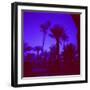 Palm Trees in Silhouette, Photographed Through Blue Glass Window, Ouarzazate, Morocco-Lee Frost-Framed Photographic Print