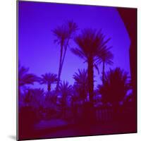 Palm Trees in Silhouette, Photographed Through Blue Glass Window, Ouarzazate, Morocco-Lee Frost-Mounted Photographic Print