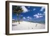 Palm Trees in the Breeze Cayman Islands-George Oze-Framed Photographic Print