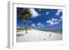 Palm Trees in the Breeze Cayman Islands-George Oze-Framed Photographic Print