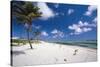 Palm Trees in the Breeze Cayman Islands-George Oze-Stretched Canvas