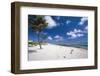 Palm Trees in the Breeze Cayman Islands-George Oze-Framed Photographic Print