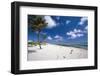 Palm Trees in the Breeze Cayman Islands-George Oze-Framed Photographic Print