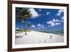 Palm Trees in the Breeze Cayman Islands-George Oze-Framed Photographic Print