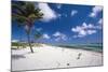 Palm Trees in the Breeze Cayman Islands-George Oze-Mounted Photographic Print