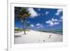 Palm Trees in the Breeze Cayman Islands-George Oze-Framed Photographic Print