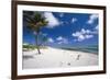 Palm Trees in the Breeze Cayman Islands-George Oze-Framed Photographic Print