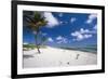 Palm Trees in the Breeze Cayman Islands-George Oze-Framed Photographic Print