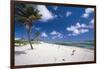 Palm Trees in the Breeze Cayman Islands-George Oze-Framed Photographic Print