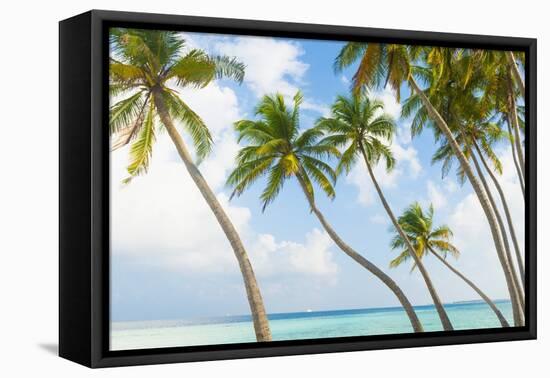 Palm Trees in the Maldives-John Harper-Framed Stretched Canvas