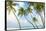 Palm Trees in the Maldives-John Harper-Framed Stretched Canvas