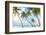 Palm Trees in the Maldives-John Harper-Framed Photographic Print