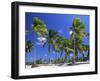 Palm Trees, Jambiani, Island of Zanzibar, Tanzania, East Africa, Africa-Lee Frost-Framed Photographic Print