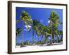 Palm Trees, Jambiani, Island of Zanzibar, Tanzania, East Africa, Africa-Lee Frost-Framed Photographic Print