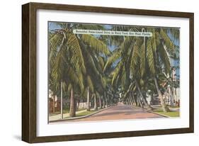 Palm Trees, Key West, Florida-null-Framed Art Print