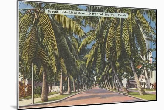 Palm Trees, Key West, Florida-null-Mounted Art Print