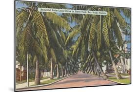 Palm Trees, Key West, Florida-null-Mounted Art Print