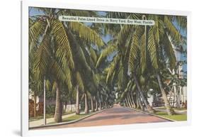 Palm Trees, Key West, Florida-null-Framed Art Print