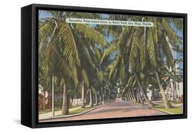 Palm Trees, Key West, Florida-null-Framed Stretched Canvas