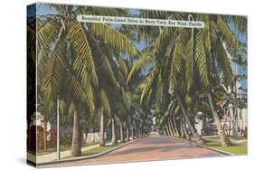 Palm Trees, Key West, Florida-null-Stretched Canvas