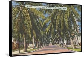 Palm Trees, Key West, Florida-null-Framed Stretched Canvas