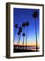 Palm trees, La Jolla Shores Beach, La Jolla, San Diego, California, United States of America, North-Richard Cummins-Framed Photographic Print