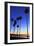 Palm trees, La Jolla Shores Beach, La Jolla, San Diego, California, United States of America, North-Richard Cummins-Framed Photographic Print