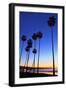 Palm trees, La Jolla Shores Beach, La Jolla, San Diego, California, United States of America, North-Richard Cummins-Framed Photographic Print