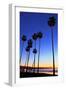 Palm trees, La Jolla Shores Beach, La Jolla, San Diego, California, United States of America, North-Richard Cummins-Framed Photographic Print