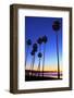 Palm trees, La Jolla Shores Beach, La Jolla, San Diego, California, United States of America, North-Richard Cummins-Framed Photographic Print