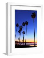 Palm trees, La Jolla Shores Beach, La Jolla, San Diego, California, United States of America, North-Richard Cummins-Framed Photographic Print