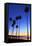 Palm trees, La Jolla Shores Beach, La Jolla, San Diego, California, United States of America, North-Richard Cummins-Framed Stretched Canvas