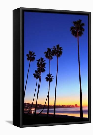 Palm trees, La Jolla Shores Beach, La Jolla, San Diego, California, United States of America, North-Richard Cummins-Framed Stretched Canvas