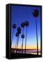 Palm trees, La Jolla Shores Beach, La Jolla, San Diego, California, United States of America, North-Richard Cummins-Framed Stretched Canvas