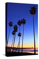 Palm trees, La Jolla Shores Beach, La Jolla, San Diego, California, United States of America, North-Richard Cummins-Stretched Canvas