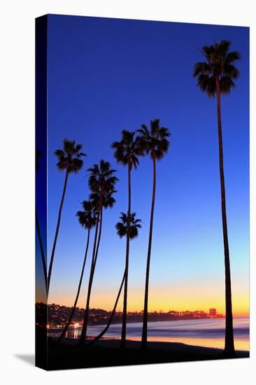 Palm trees, La Jolla Shores Beach, La Jolla, San Diego, California, United States of America, North-Richard Cummins-Stretched Canvas