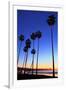 Palm trees, La Jolla Shores Beach, La Jolla, San Diego, California, United States of America, North-Richard Cummins-Framed Photographic Print