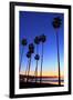 Palm trees, La Jolla Shores Beach, La Jolla, San Diego, California, United States of America, North-Richard Cummins-Framed Photographic Print