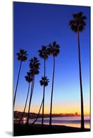 Palm trees, La Jolla Shores Beach, La Jolla, San Diego, California, United States of America, North-Richard Cummins-Mounted Photographic Print