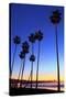 Palm trees, La Jolla Shores Beach, La Jolla, San Diego, California, United States of America, North-Richard Cummins-Stretched Canvas